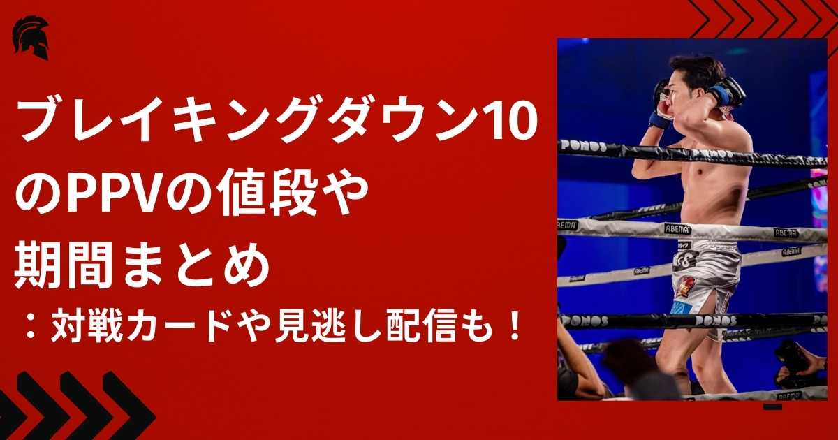 ブレイキングダウン10のppvの値段や期間まとめ：対戦カードや見逃し配信も！