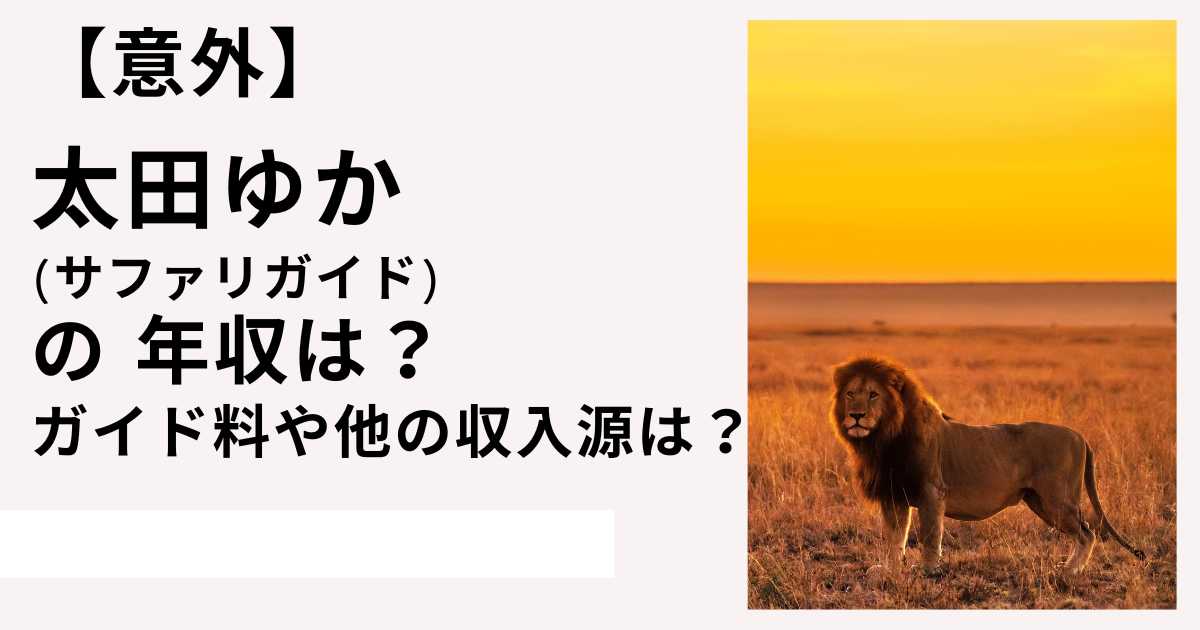 【意外】太田ゆか（サファリガイド）の 年収は？ガイド料や他の収入源は？